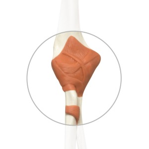 Spare elbow ligament for A12, A12/1, A13 and A13/1 - XA020 [1020651]
